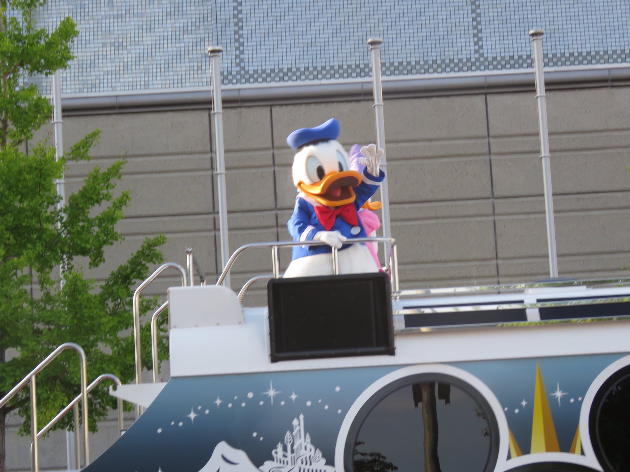 詩織 Twitterissa 立て続けに まつりつくばディズニーパレード ドナルド可愛く撮れました 後ろ姿のドナルドとデイジーの姿にはキュンキュン まつりつくば ドナルド