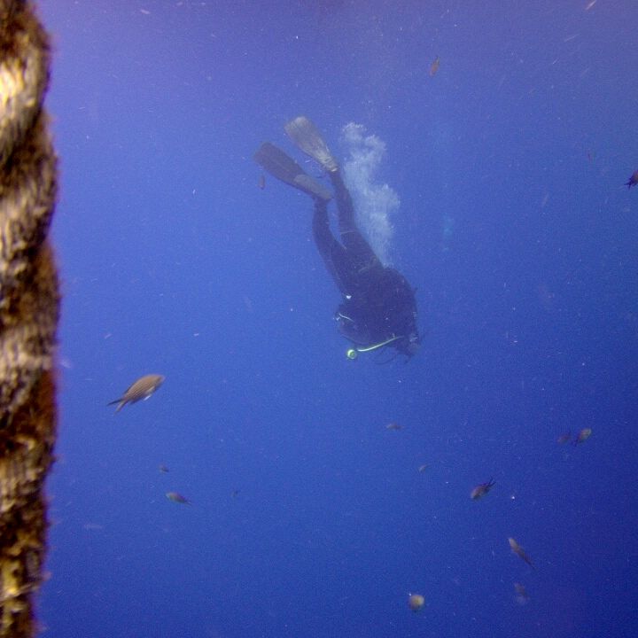 apenfiel's tweet photo. La Azohía alberga numerosos tesoros submarinos que tan solo necesitan ser descubiertos. #Buceo #Rivemar https://t.co/0G8fuoQ79H