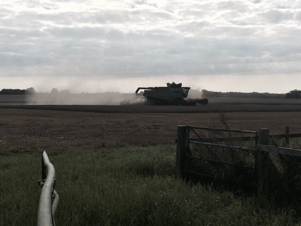 FarmerLutey's tweet photo. Good early start to Combining on beautiful Sunday morning #farm24/7 #stickforward #endinsight https://t.co/0X4wbyGLMJ