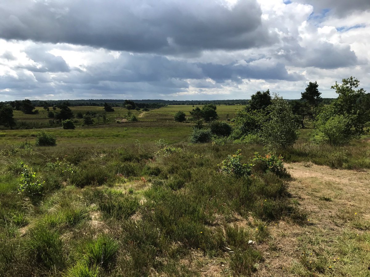 Geen vliegtuigen op 1800 meter Namens bewoners,1 miljoen toeristen en dieren:Red de Veluwe hogerbovendeveluwe.petities.nl