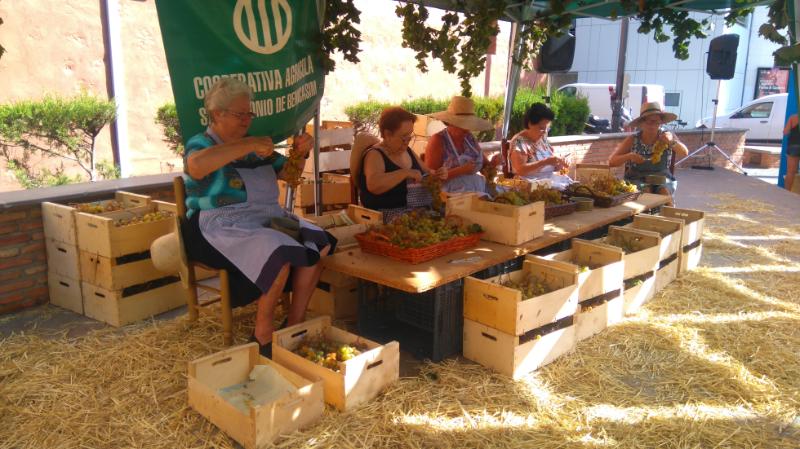 tmobenicassim's tweet photo. Fiesta de la Vendimia con uva moscatel de #Benicàssim a lo largo de la mañana de hoy en la plaza de la Constitución. ¡Te esperamos! 🍇 https://t.co/dUofJHS6Kd