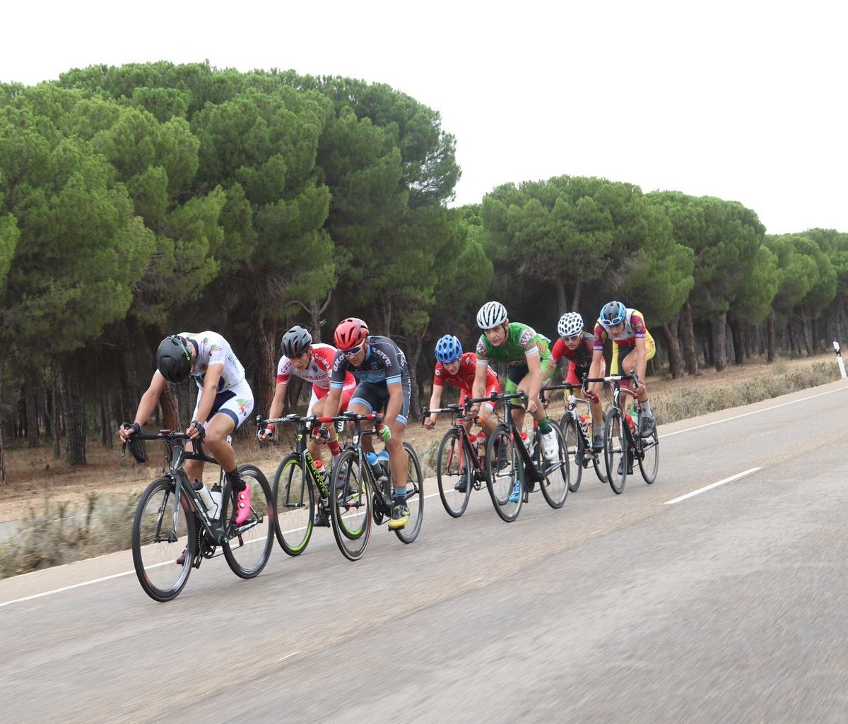 Nuestro <a href="/antonioda07/">Antonio David Guerao</a> en la fuga buena de #CEValladolid17 a menos de 30 km de meta. También @xabiermikelazpa en la misma.