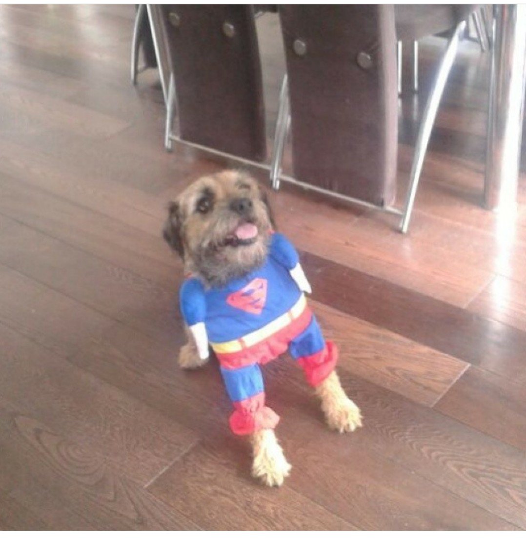 EmmaEmmaibiza's tweet photo. @SundayBrunchC4 this is bodge....superman bodge. https://t.co/a0n9pLg4fv