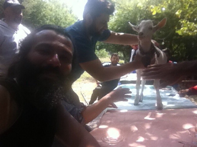 halitsahin61's tweet photo. Bu keçi bile duymuş gelmiş yürüyüşe çok sevimli birden atladı masaya o bile geldi maşallah https://t.co/nbZgxsV1b3