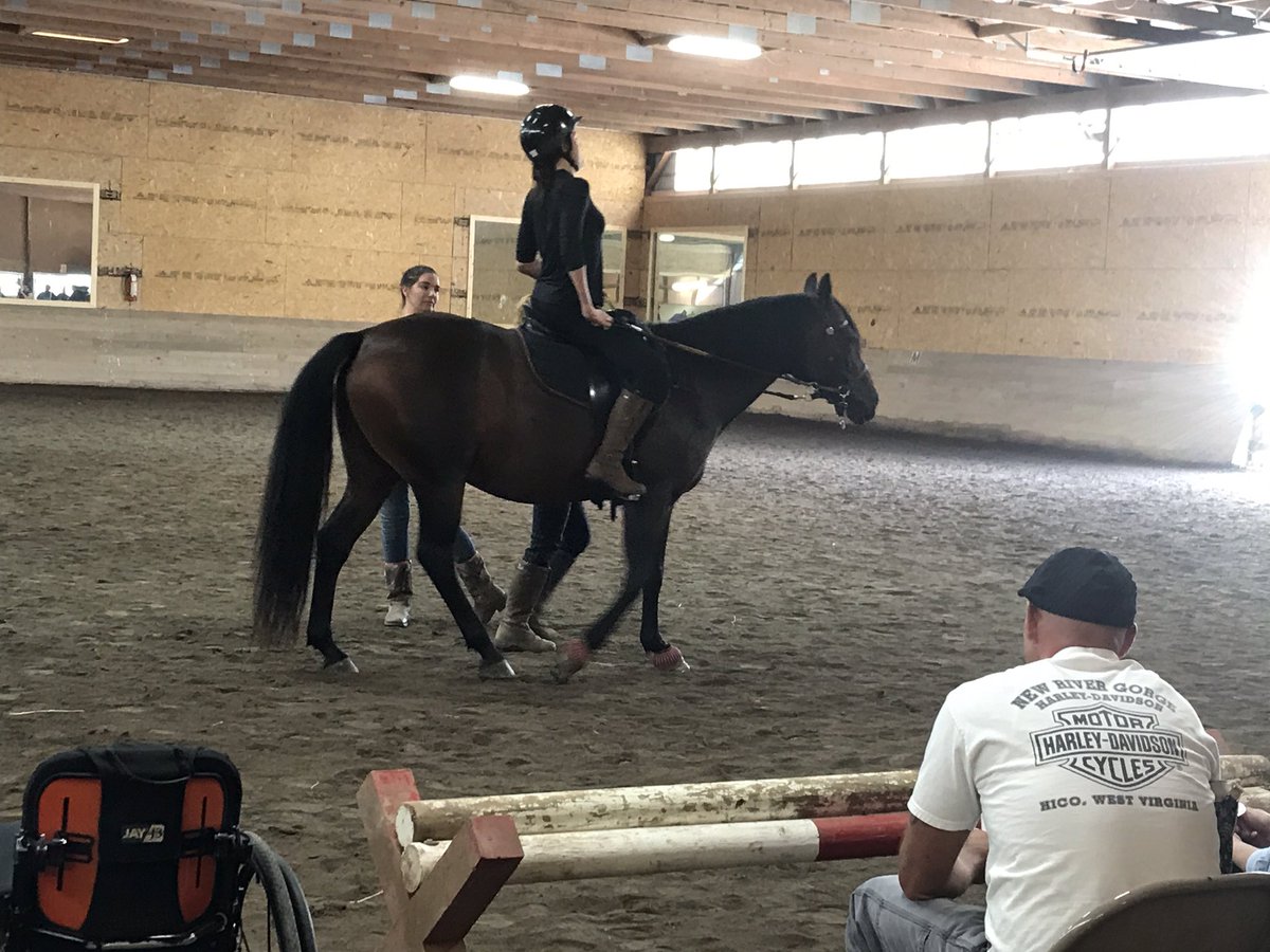 The Stoneybrook Foundation. Improving the lives of individuals with challenges through therapeutic partnerships with horses #2017studentshow