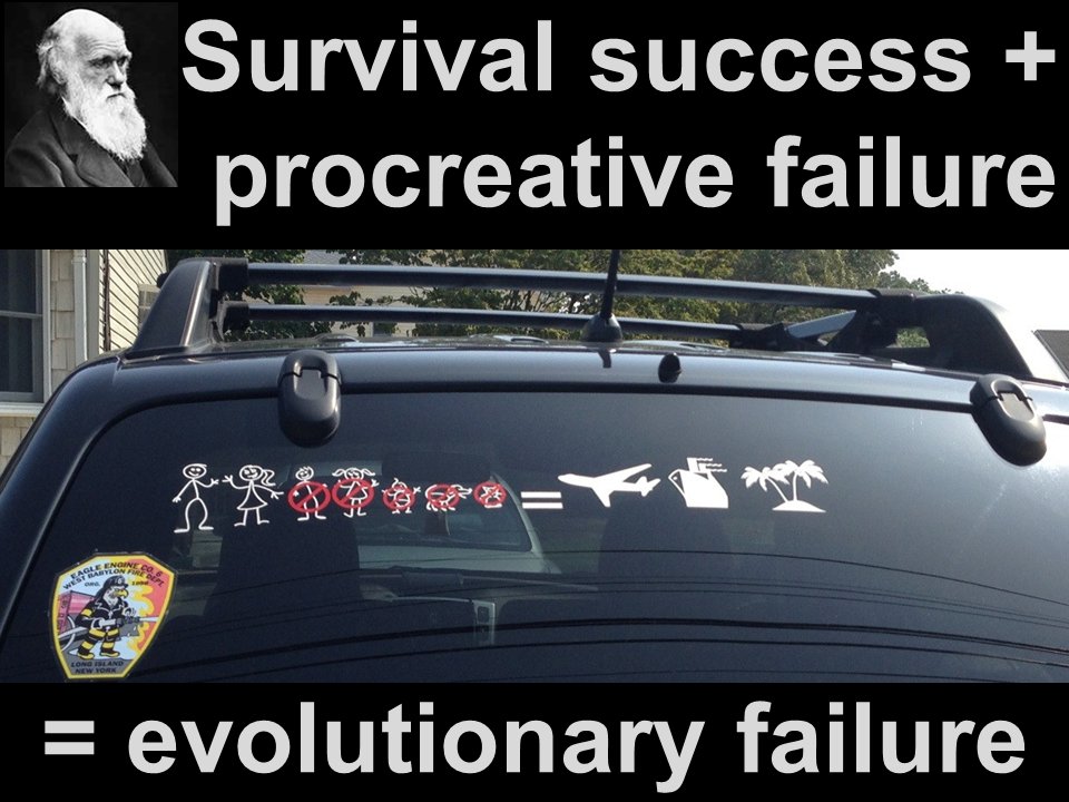 Debunking Social Darwinism Common Misconceptions Exposed - nukmunp