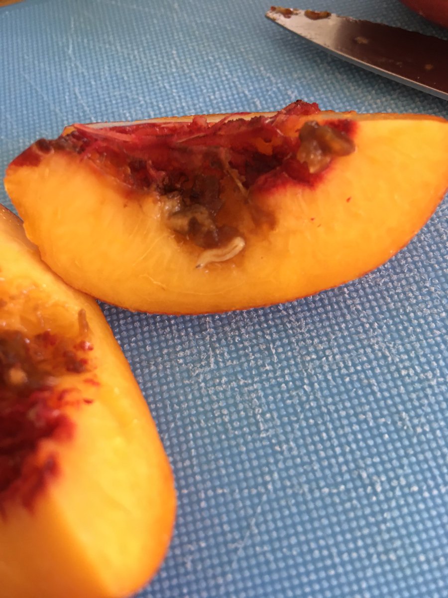 korenthompson's tweet photo. @LidlUK maggot in my peach! Completely put off Lidl fruit 😶 https://t.co/GT8wTkQ2ul