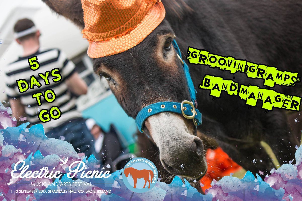 #MyLovelyRanch #EP2017 <a href="/TrailerParkEP/">Trailer Park</a> <a href="/EPfestival/">Electric Picnic</a> #5DaysToGo #ROCKVIDEO: youtu.be/buawEpRxNIc