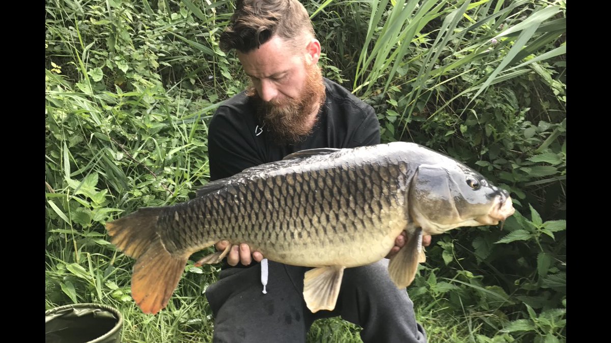 Tonymiller110's tweet photo. 22lb on the marine core @CoreBaits_uk @_CreativeCarp on a size 6 curve shank from @NorthernBanx https://t.co/1ryAR6sOu7