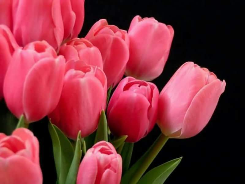 eaad6320's tweet photo. @C4b1FVVCrb3HvS0 @vHdU0l3hHo3BuNi @alivpm14 @mohm_yasser @salem1968ss @SCFs0ua0FDQbTk6 @hassanMusawi3 @z7qf6lKSrGnygBF @9eSQsyEWdnwuMDA @1700_death تسلمين عزيزتي شكرا لذوقك الراقي https://t.co/2FJYA7SlHZ