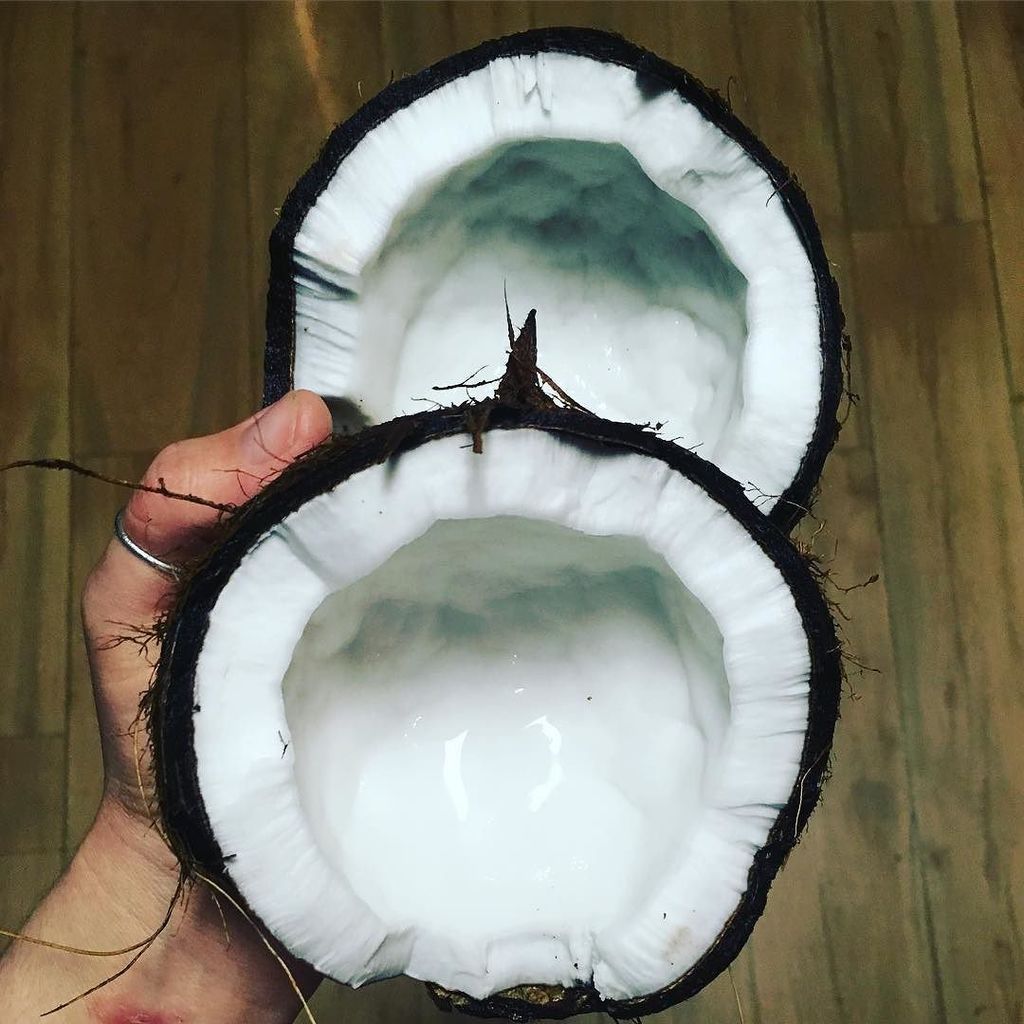 Flourish_Tess's tweet photo. Cracking coconuts in my kitchen. .
##perthfitfam #perthchef #gratitude #grateful #coconut #tropical #nutrition #n… https://t.co/quERXqqPd5 https://t.co/td7HlIgHFS