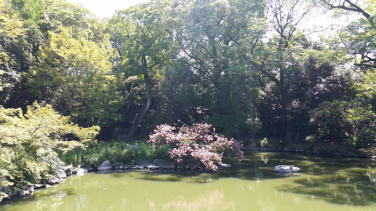 ScienceByDRE's tweet photo. A gorgeous morning in #Kyoto. Topped by an evening walk home. (Sandwiched a 4.5h meeting). #ICAM2017 @Materials_IUMRS https://t.co/fypruorHXe