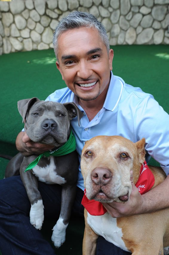 Happy Birthday Cesar Millan 