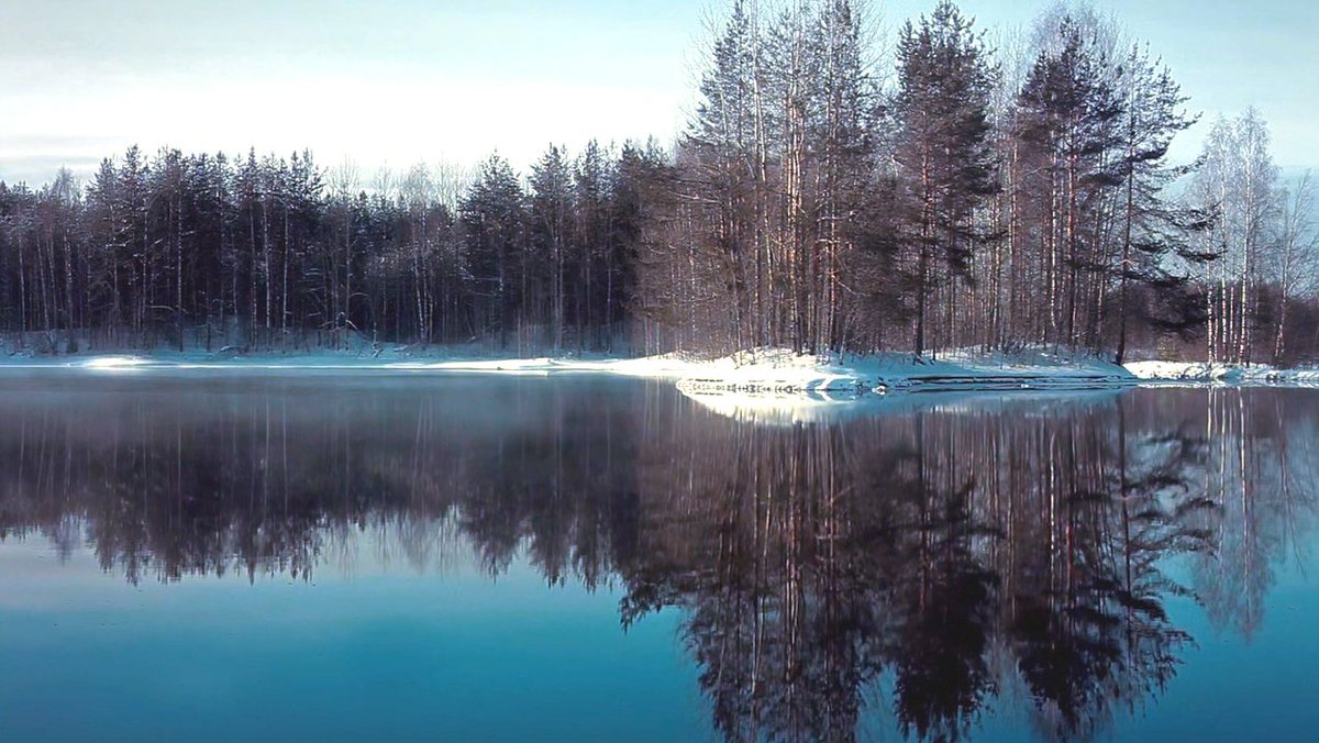 LilianKrueger's tweet image. #DearWill