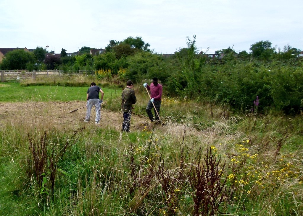 donaldelyven's tweet photo. Thank you NCS for the help in hay making, bulb planting &amp; ditch clearing yesterday! @ChallengeBarnet @NCS @LondonNPC @WildLondon @iGiGL https://t.co/zSmR9dAP0e