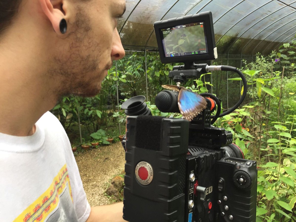 justonepush's tweet photo. Lose yourself in the things you love for that is where you will find yourself #REdcamera #Film #sundaymotivation #onepushcreative #creation https://t.co/VJkRO23Xrs