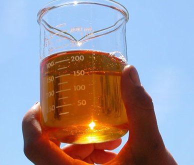 uscanola's tweet photo. #Canolaoil may be heading south for biodiesel because of a tax incentive https://t.co/nKT8uBn1ky. https://t.co/q4zUEACn7r