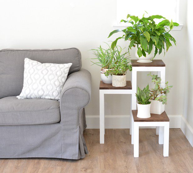 Arrow_Fastener's tweet photo. 😍 #DIY tiered plant stand from @CentsationalGrl? Don’t mind if we do! https://t.co/DrMUKs8lIM
#MadeWithArrow #woodworking https://t.co/BOUzN6fxlR