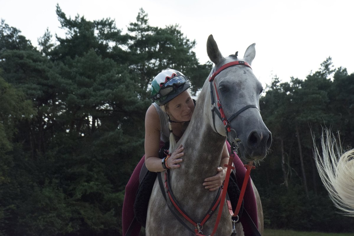 impulsief's tweet photo. Liefde voor paarden zal er altijd blijven .... #arabier https://t.co/35sRkATMJ2