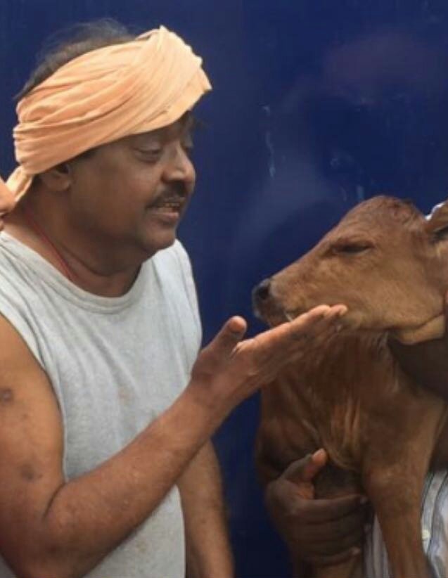 iVijayakant's tweet photo. எங்கள் வீட்டு லட்சுமி (பசு), இன்று பசுங்கன்றை ஈன்றது. அதற்கு அட்சயா என்று பெயர் சூட்டி மகிழ்ந்தோம்... https://t.co/NAppcZOKmv