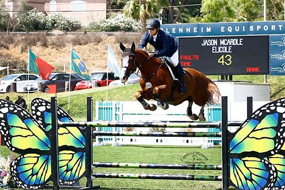 FTASport's tweet photo. Jason McArdle wins the $7,500 Interactive Mortgage Futurity #showjunping #EquineHour #equine https://t.co/hMdnCWXe5S https://t.co/p5VNJk6QVo