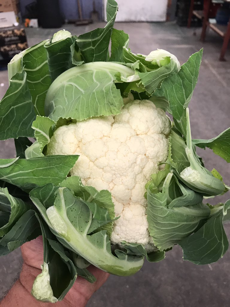 TatwsTrading's tweet photo. @mgth6 I only buy my cauliflower from @prescottfarms from start of the season til the end 👌👌 https://t.co/v8WG7ppEwf