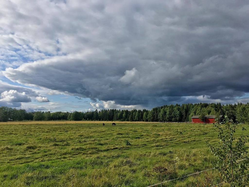 DavidVinot's tweet photo. Monster dark clouds coming!
#finland #clouds #cloudysky #sky #weather #rain #järvenpää #tuusula #suomi #winterisco… https://t.co/HlIsIDTKIZ https://t.co/nVcB6VQd3H