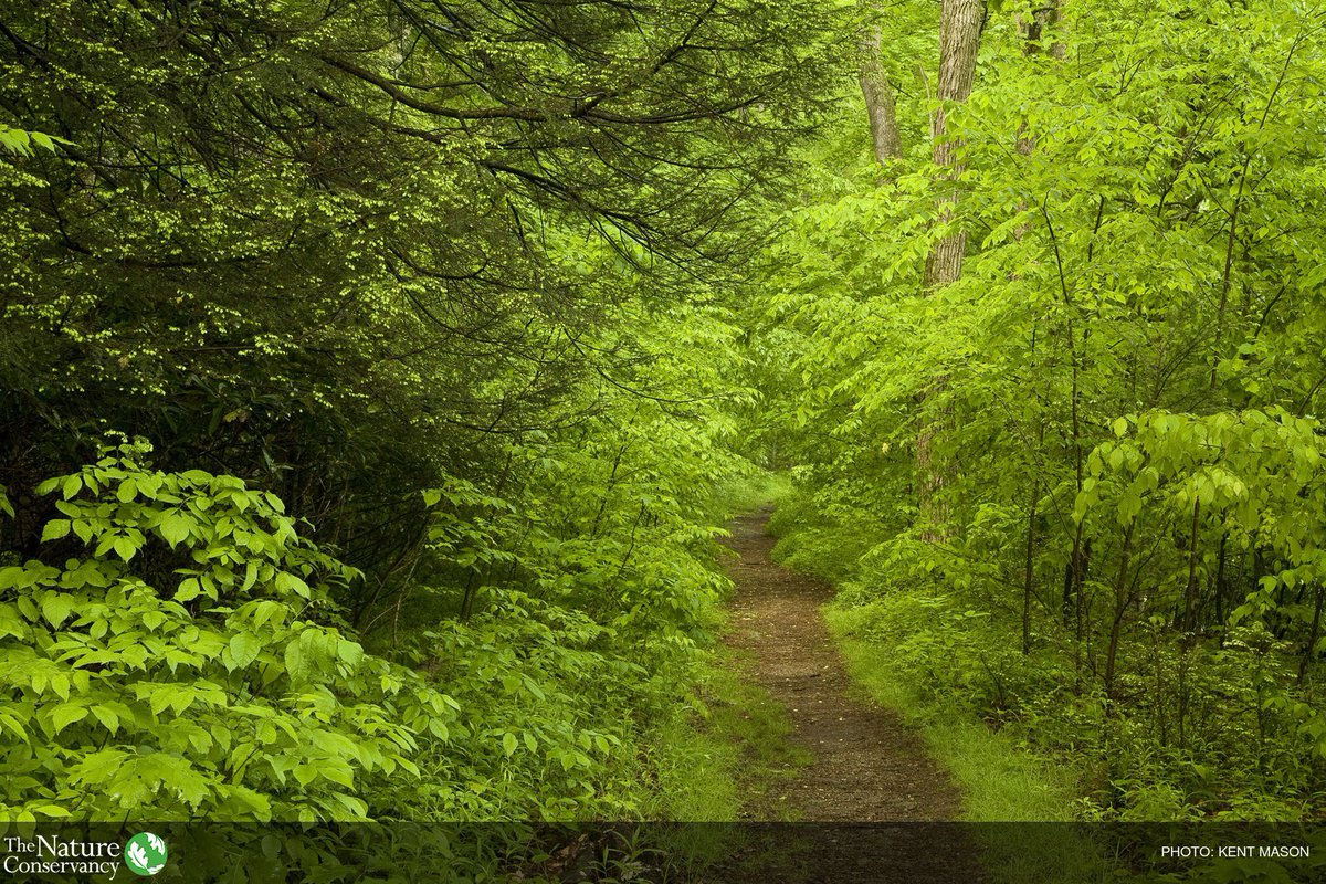 nature_org's tweet photo. What if water treatment wasn't the only path to clean water? https://t.co/uQ7L1M41Oe #WWWeek https://t.co/UD8jXrSKLM