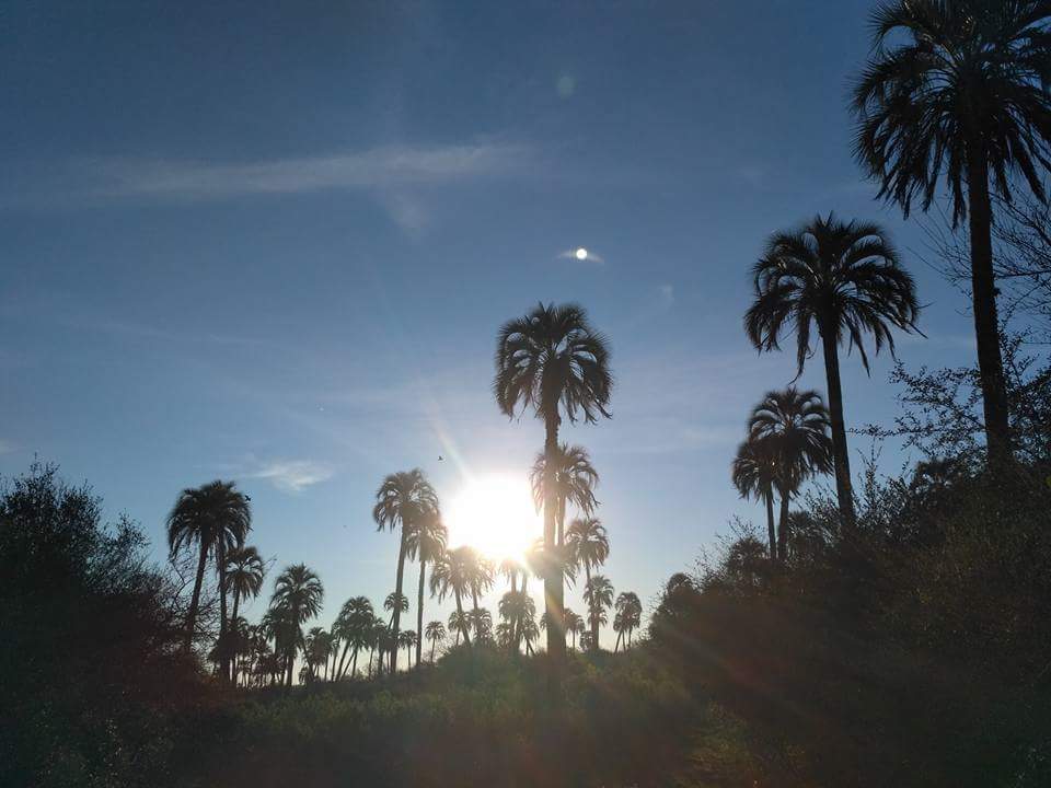 #FelizDomingo 🌴 #BuenDomingo 🌞 #27Agosto 💦 para disfrutarlo 🙌🙌🙌 🆓👪👫💆
