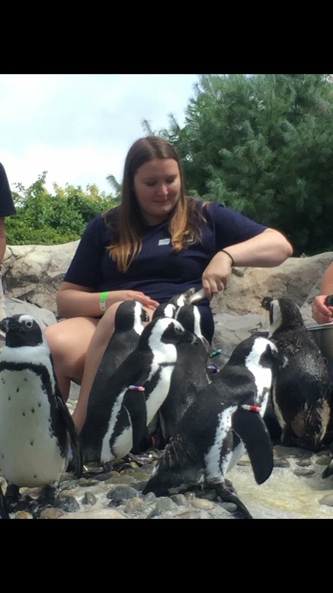 BriannaKraynak's tweet photo. Throwback to 2 years ago when I was brushing a beluga whale's teeth and feeding penguins 💙 #trainerforaday https://t.co/pjImqdp49y