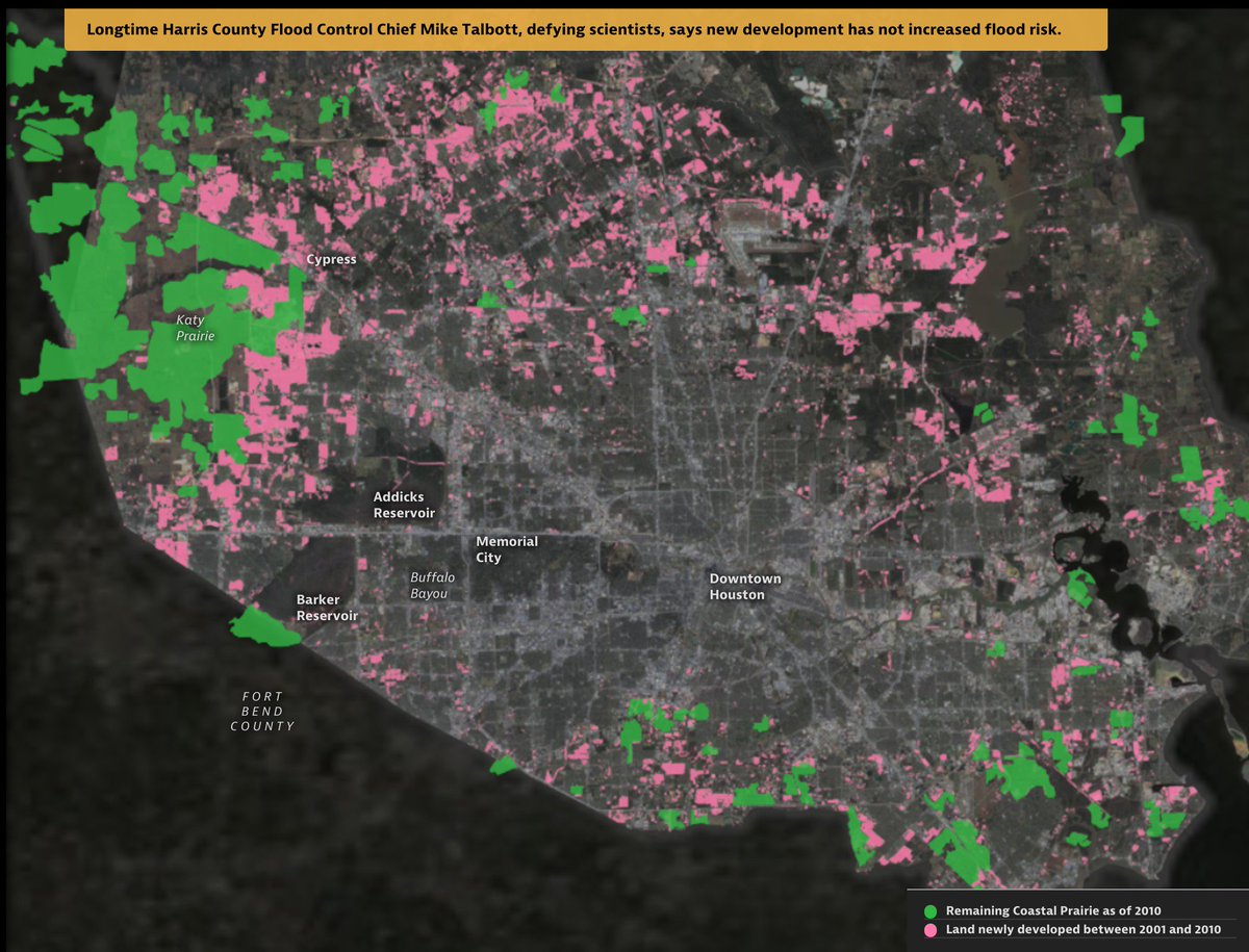 propublica's tweet image. 4/ The city has paved over over 166,000 acres of mostly former coastal prairie since 2001, land that held highly absorbent grasses.
