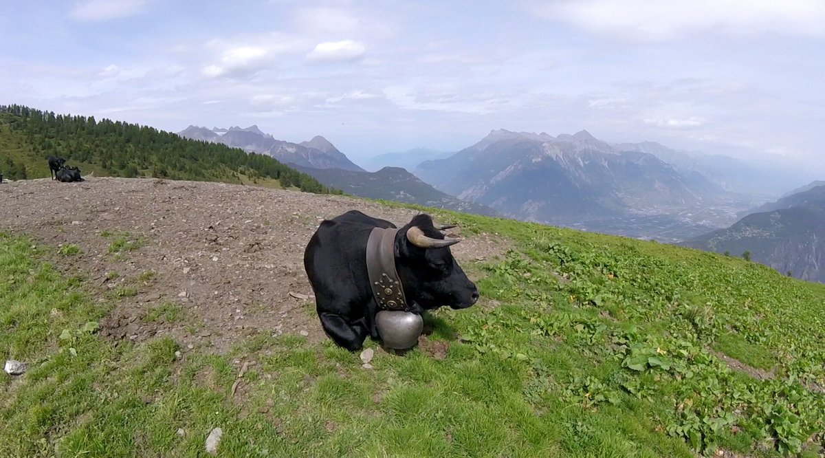 VincentPagot's tweet photo. Waiting for #utmb2017 runners https://t.co/UTQAhTOLld