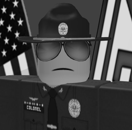 Norfolk City Police tweet media