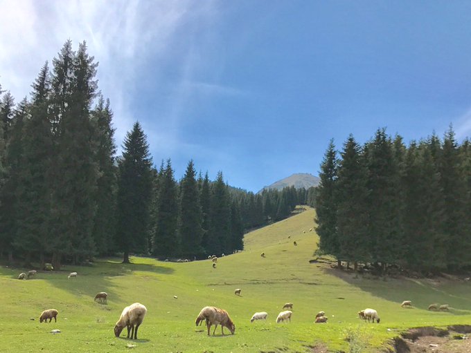 Twitterのコスプレ画像3