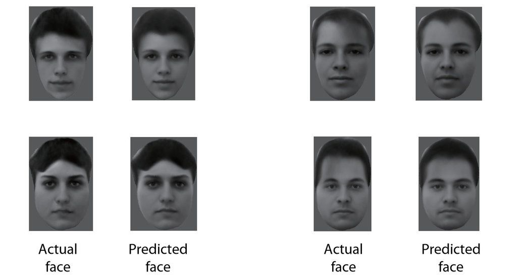 HiGarethDavies's tweet photo. You Look Familiar. Now Scientists Know Why - https://t.co/0EhmZvnaEw #science #facialrecognition #machinelearning #caltech #brainencoding https://t.co/OrnecoV1qQ