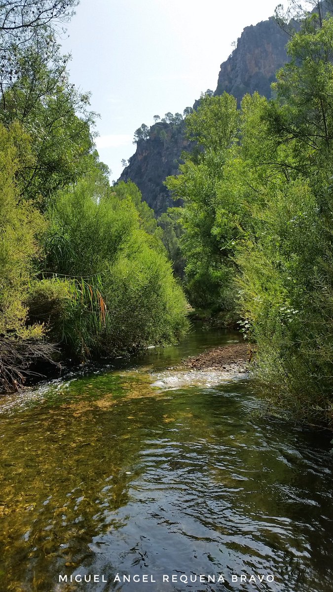 MeteoHellin's tweet photo. Río Mundo en su unión con el río Bogarra, su principal afluente. El río discurre encajonado por montañas que sobresalen 500m sobre el cauce. https://t.co/RvFPiJ16IS