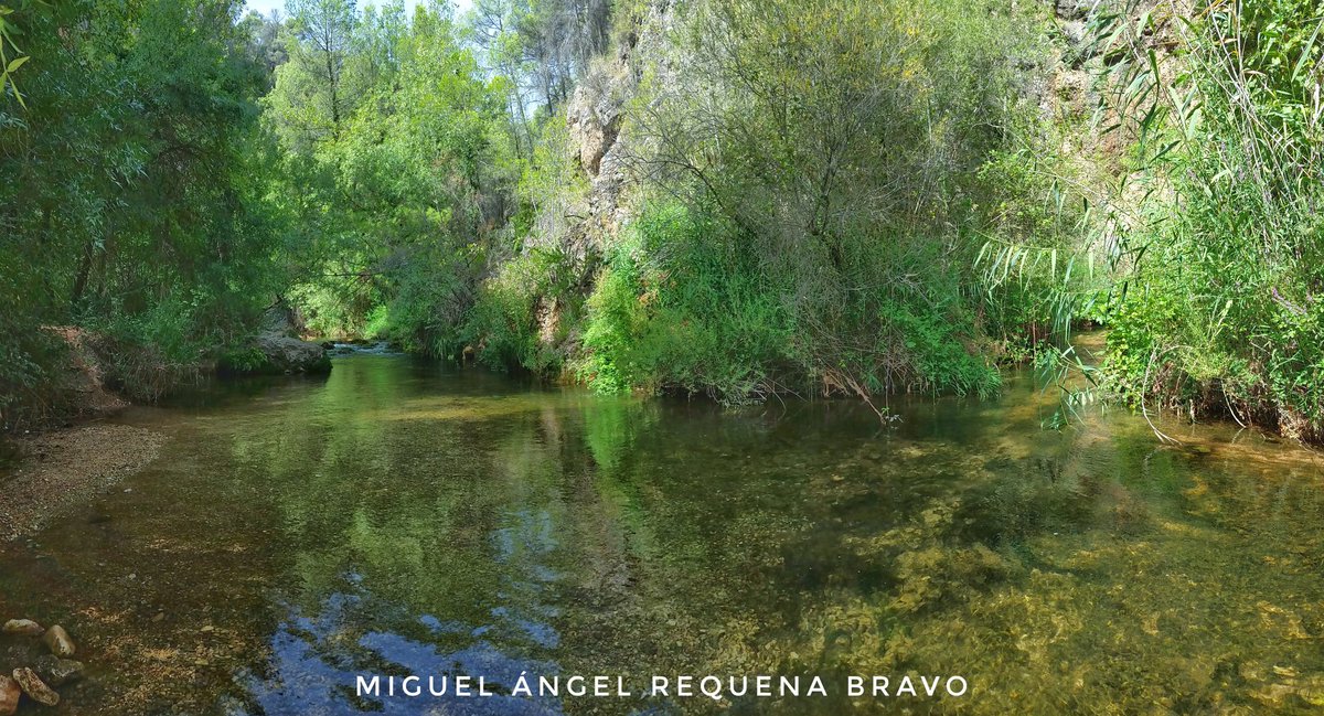 MeteoHellin's tweet photo. Río Mundo en su unión con el río Bogarra, su principal afluente. El río discurre encajonado por montañas que sobresalen 500m sobre el cauce. https://t.co/RvFPiJ16IS