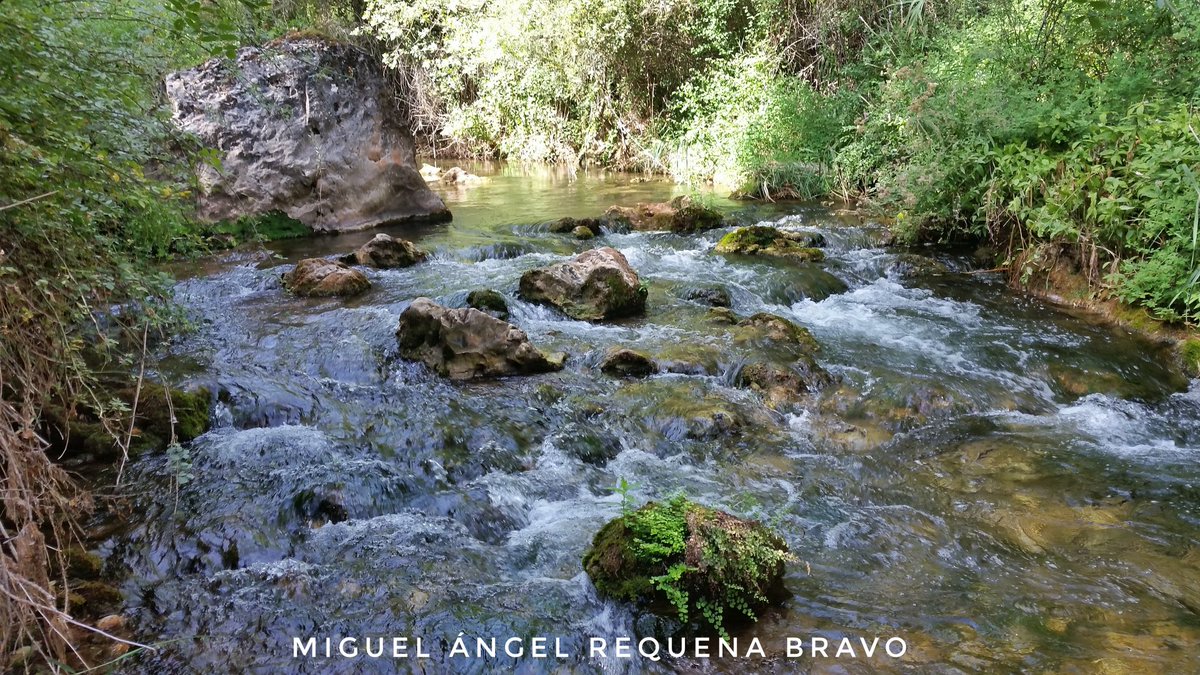 MeteoHellin's tweet photo. Río Mundo en su unión con el río Bogarra, su principal afluente. El río discurre encajonado por montañas que sobresalen 500m sobre el cauce. https://t.co/RvFPiJ16IS