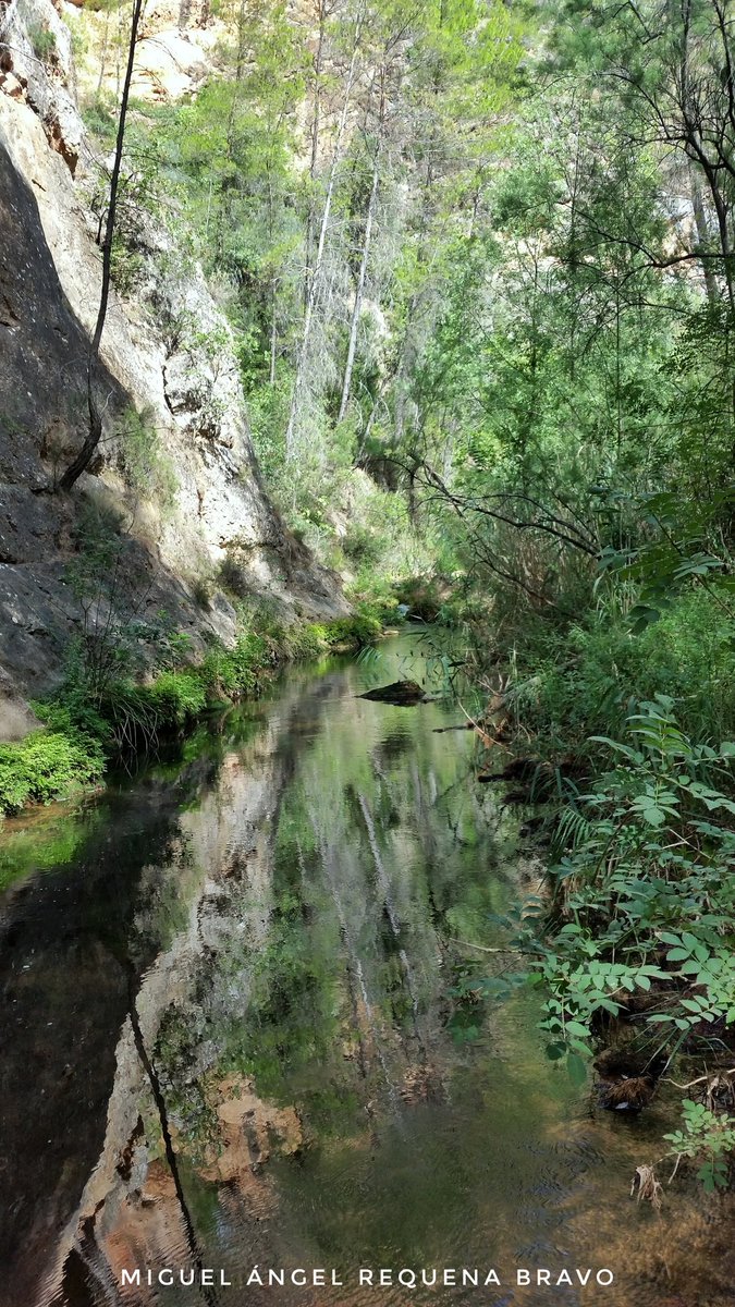 MeteoHellin's tweet photo. Río Mundo en su unión con el río Bogarra, su principal afluente. El río discurre encajonado por montañas que sobresalen 500m sobre el cauce. https://t.co/RvFPiJ16IS