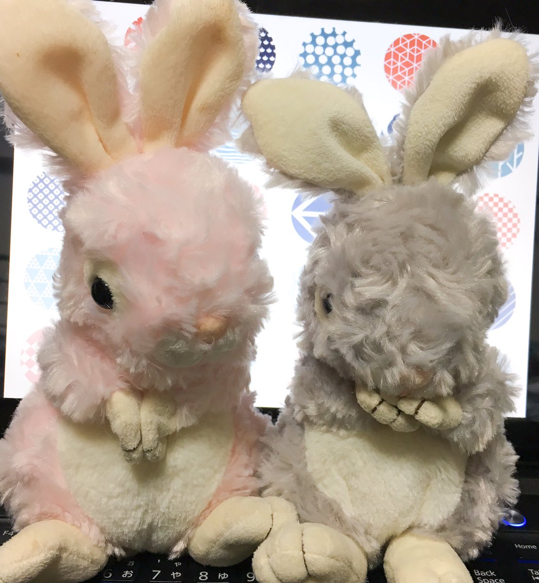 O Xrhsths うさぎのぬいぐるみわーるど Sto Twitter Take Off社のbunny Stick Bunnyのうさぎさん たまたま同じタイプの子が集まりました 両手と口には磁石が入っています 公式サイトでも販売中 うさぎのぬいぐるみ ぬいぐるみ うさぎ Takeoff バニー