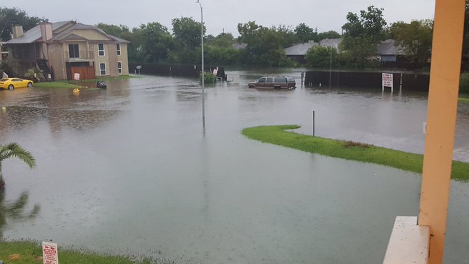 View image on Twitter