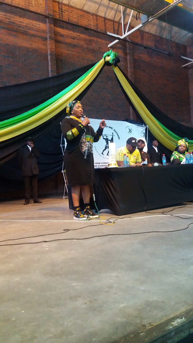 " We need to revive and prioritize political education within the <a href="/MYANC/">ANC - African National Congress</a>" President Bathabile Dlamini