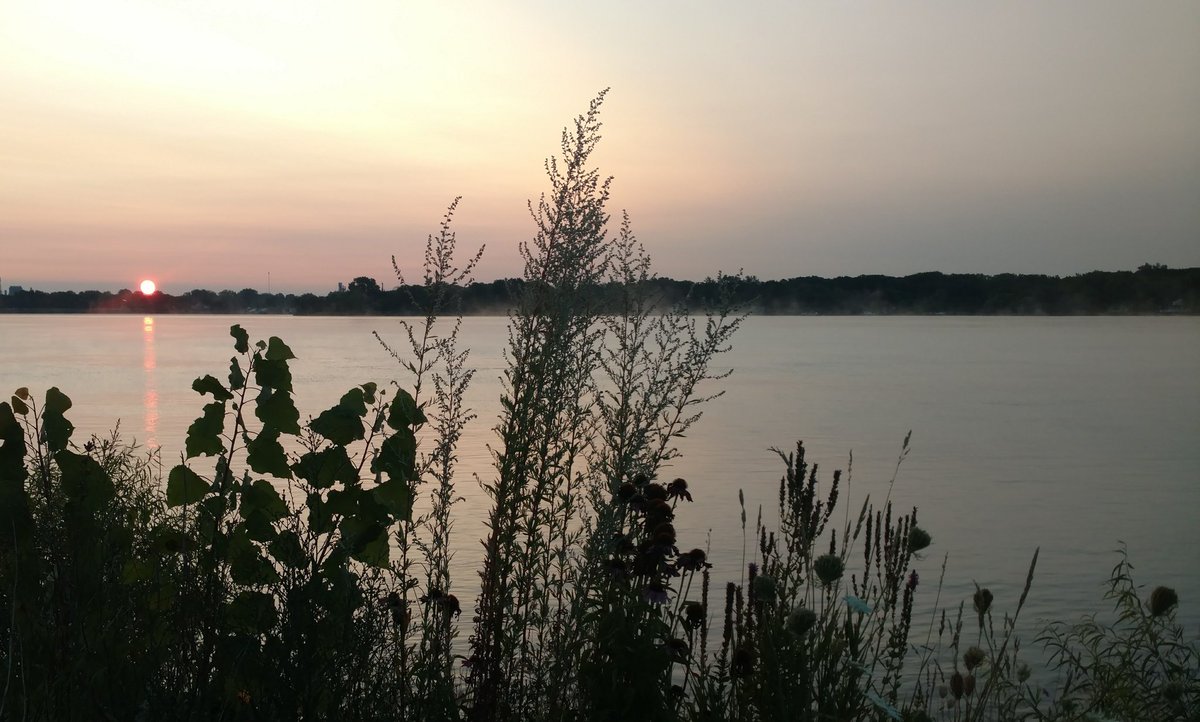 MichCounAssc's tweet image. It's self-care Sunday! Don't forgot to take some time for YOU!