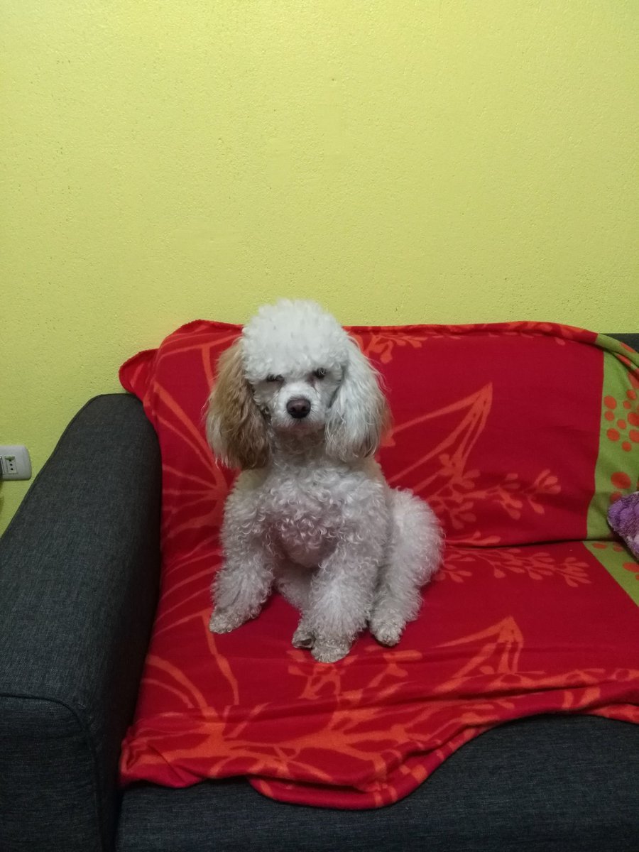channy2407's tweet photo. #gaguiamor @coyarzosilva8 @ https://t.co/SdEMQ0hrFT