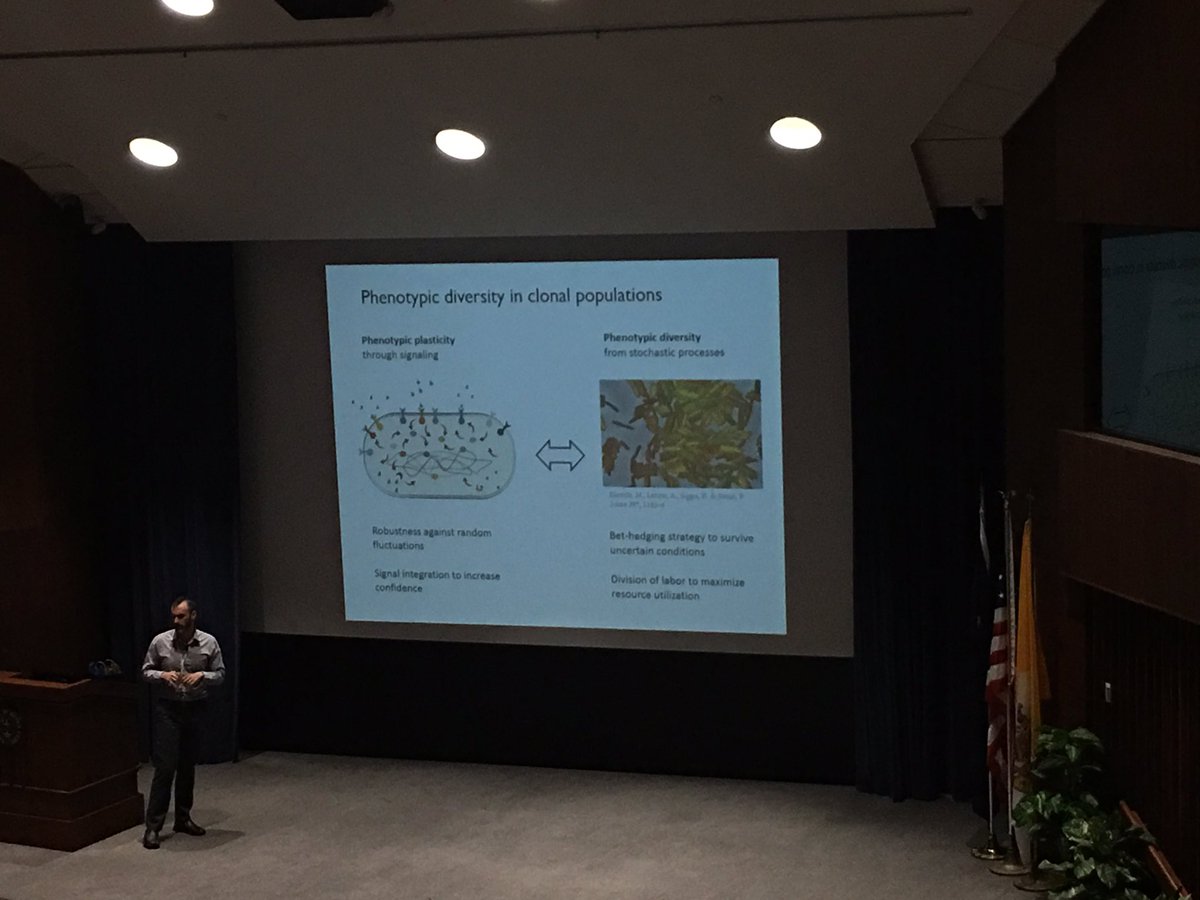 WatersLabMSU's tweet photo. @dufourya great talk on phenotypic diversity in V cholerae! #MMPC2017 #cdiGMP https://t.co/wVPA8o7MWp
