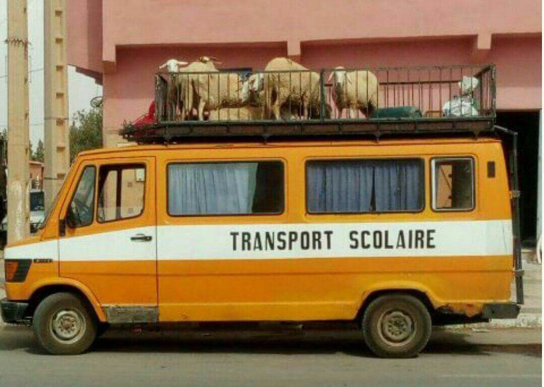 je ne sais pas pour vous mais je vois une belle symbolique ici.