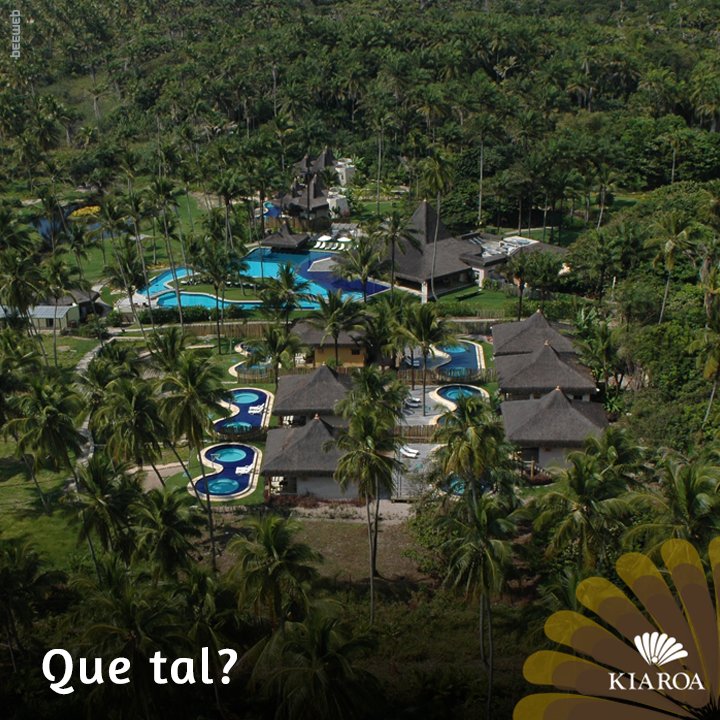 kiaroa's tweet photo. A natureza que nos cerca é, simplesmente, incrível e apaixonante!

Viva a experiência Kiaroa!

#Kiaroa #Natureza #ViajarÉPreciso #Resort https://t.co/IITlv9tMua