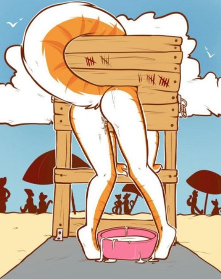 Who wants to use my pet <a href="/yiffmaster34/">💜Krystal the fox❤</a>? Dosent matter if it's public or in private.