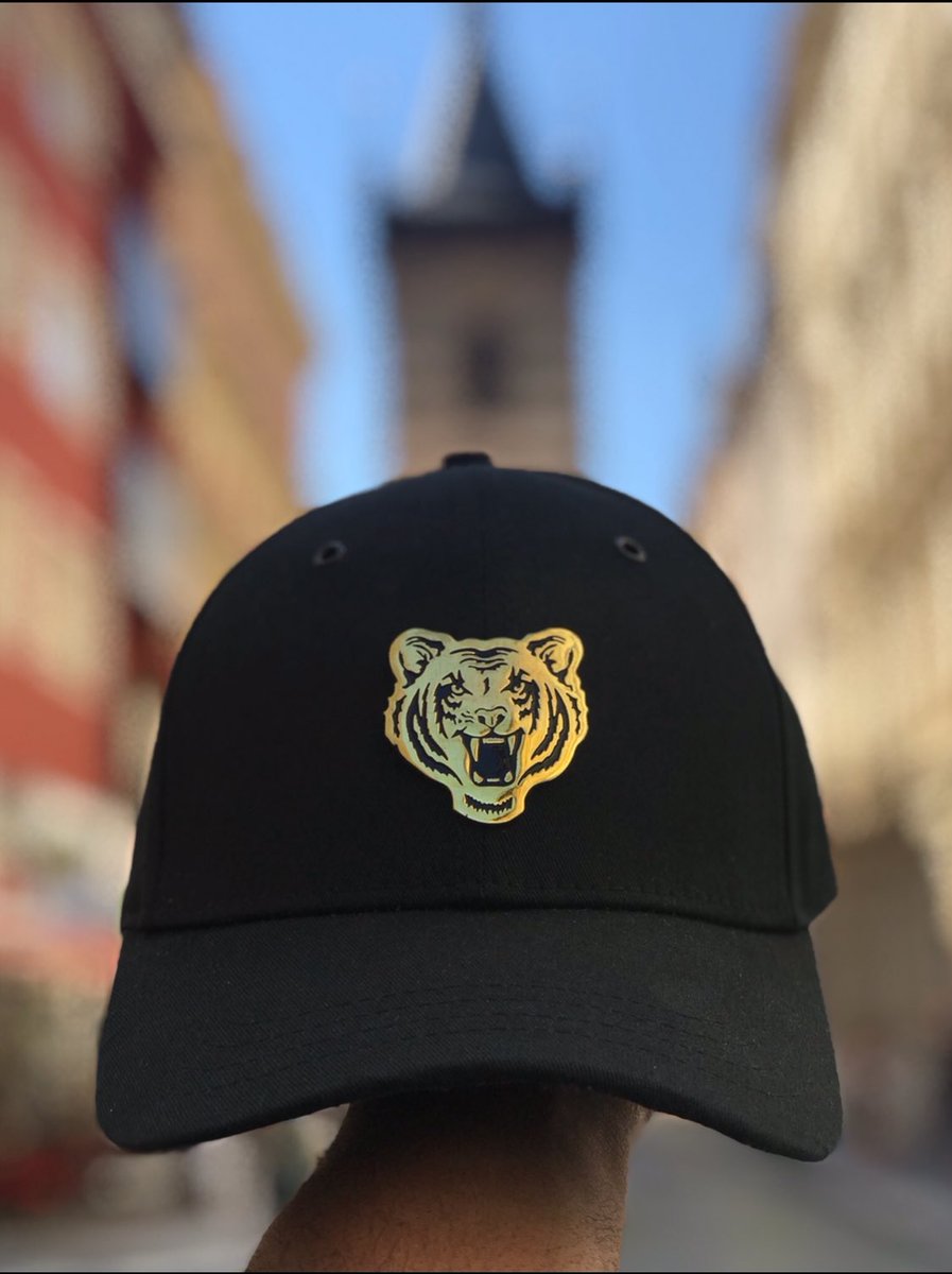 ricalyce's tweet image. A little bit of progress everyday .we are Ricalyce . Ricalyce.com #tiger #cap #Ricalyce #blogger #streetwear