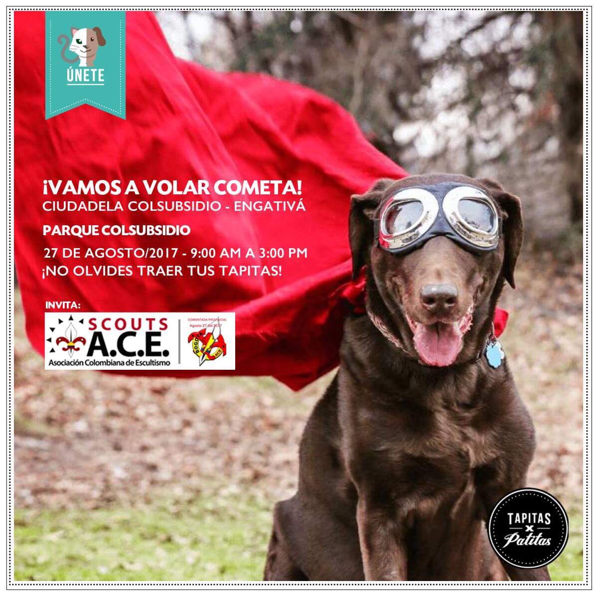 ¡Hoy! Vamos a dar una vuelta al cielo. Trae tu cometa, tus tapitas y donaciones para la fauna callejera. Queremos ver #MásPatitasFelices